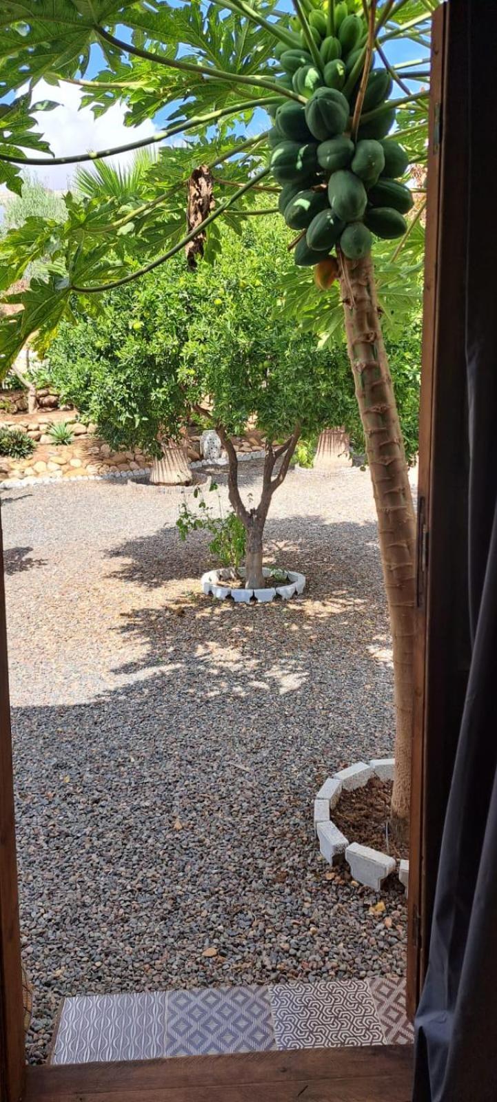 Riad Asmaa Agadir Azrarag Exterior photo
